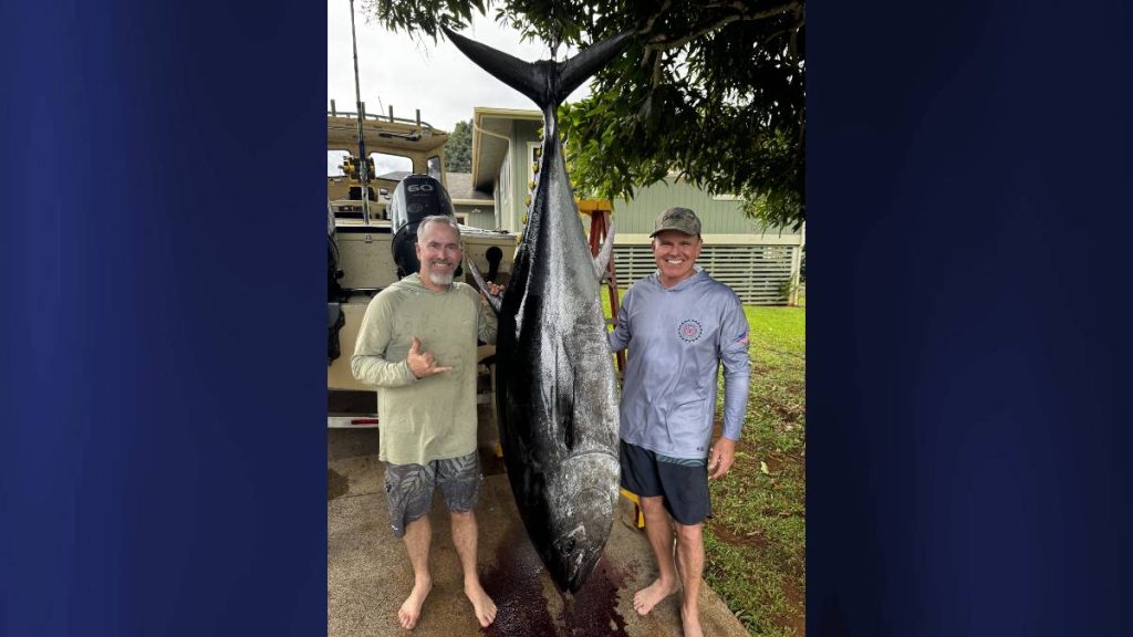 Massive bluefin tuna reeled in by Kauaʻi fishermen only second recorded caught in Hawaiian waters