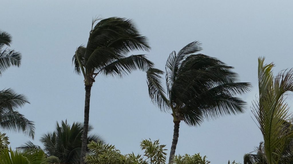 Wind advisory issued for Hawaiian Islands; 2 beach parks remain closed due to high surf