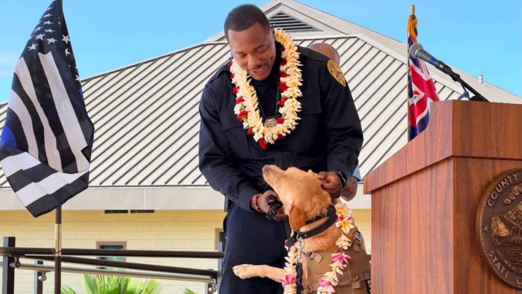 Police K9 Trina shows off her scent-tracking to find missing children, endangered adults