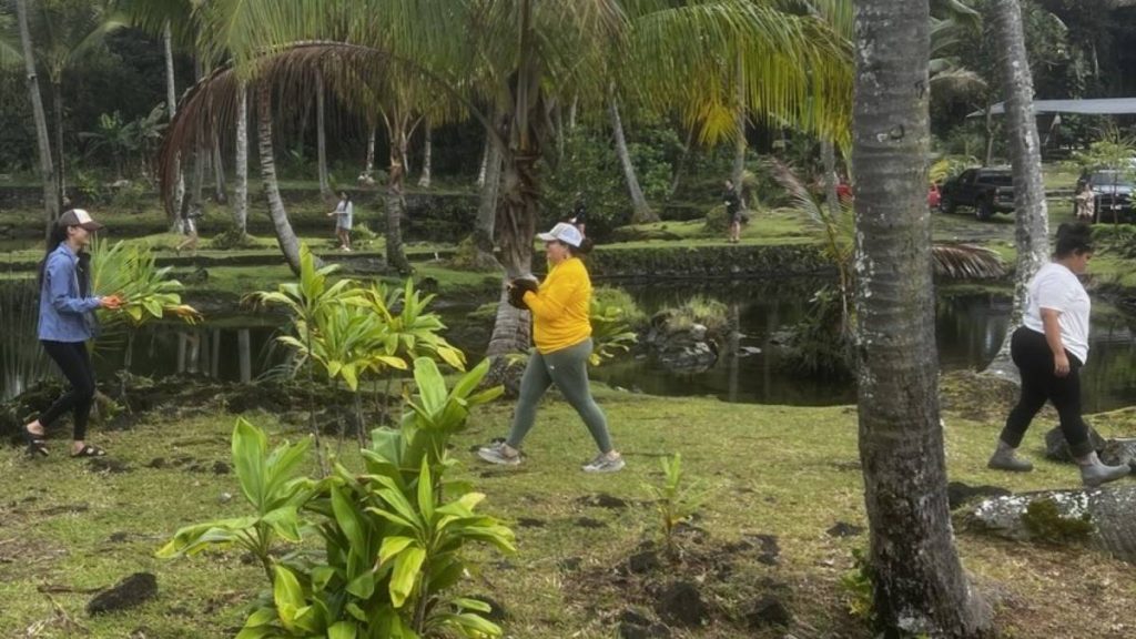 ‘Living laboratory’: University of Hawaiʻi at Hilo genetics students visit traditional Hawaiian fishpond in Keaukaha