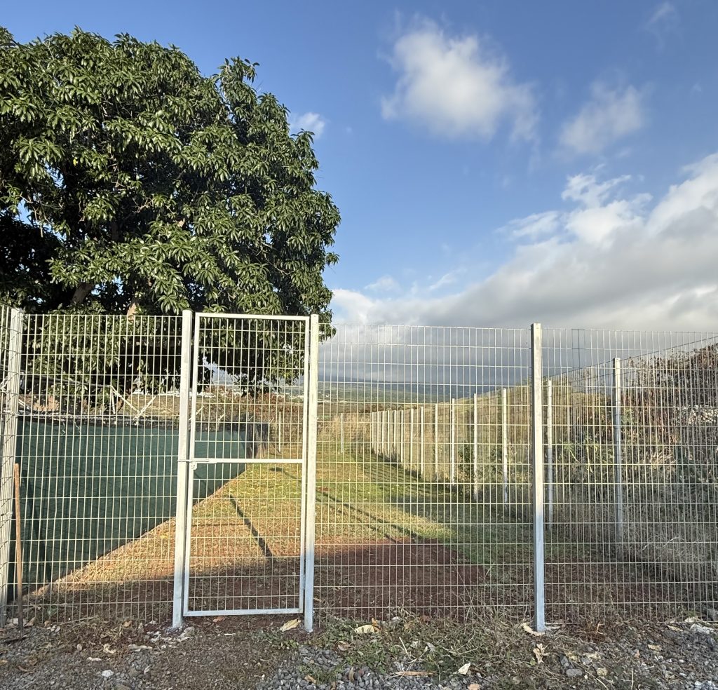 The bigger Kona kennels for the police canines were completed with 8-foot high fence to keep in the higher jumping dogs. (Photo Courtesy: Hawaiʻi Island Police) 