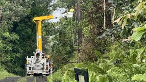 Hawaiian Electric says major repairs from Hurricane Lala completed on Big island ahead of schedule