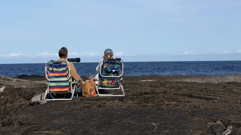 Sanctuary Ocean Count, Great Whale Count conclude for 2026 koholā season