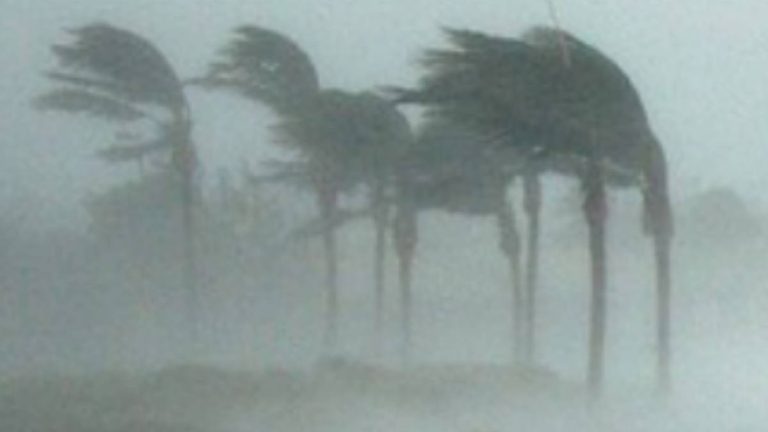 Residents urged to file insurance claims after severe weather