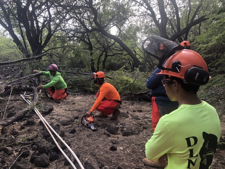 Resilience hubs provide aid to affected residents during kona low storm response
