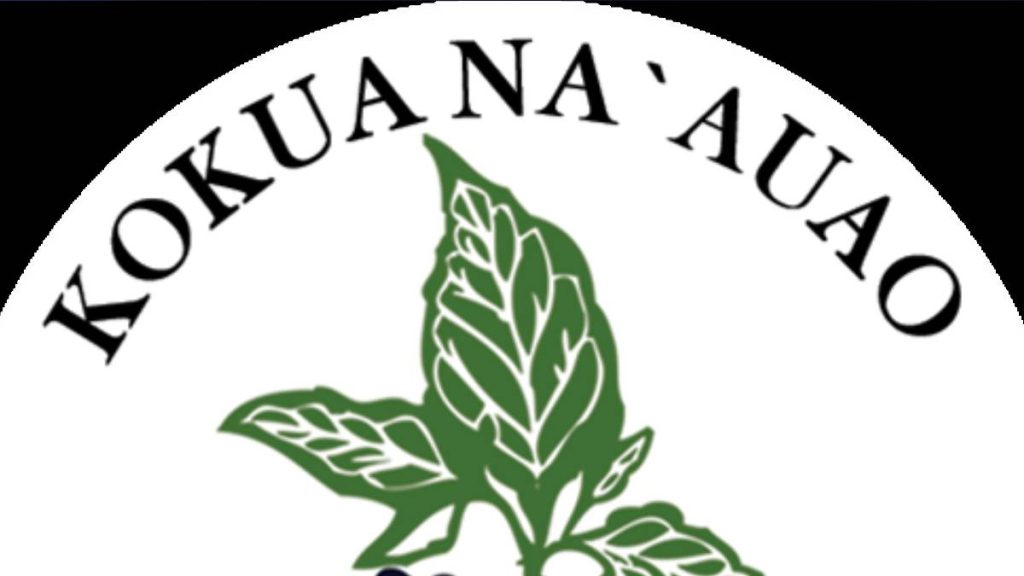 Native Hawaiian Health Scholarship Program continues to strengthen Hawaiʻi’s healthcare workforce