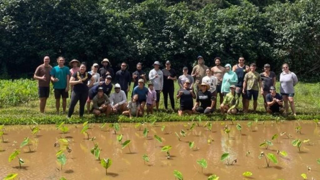 ‘A farmer’s mental health is tied to the health of their land’: New suicide rate study calls for more community support of farmers