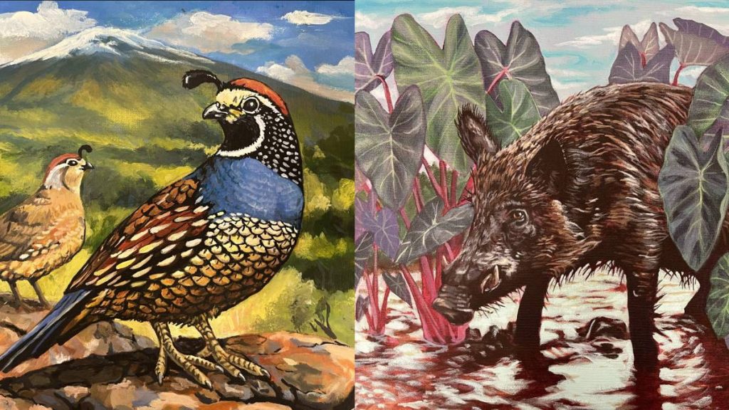 2026-27 Hawai‘i Wildlife Conservation and Game Bird Stamp Art Contest winners announced