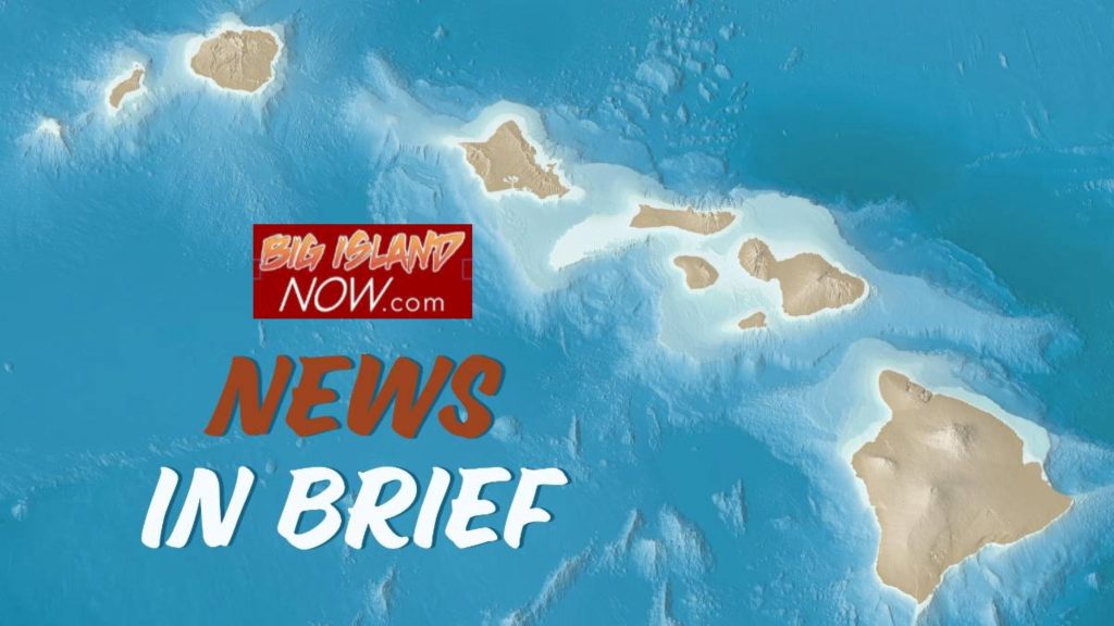 Big Island Now news briefs for April 18: National Native Plant Month, Jams World 2026 Chat Collection, Grace to retire