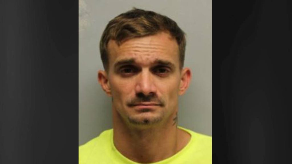 Hilo man sentenced to 10-year prison term for series of identity theft, computer fraud offenses