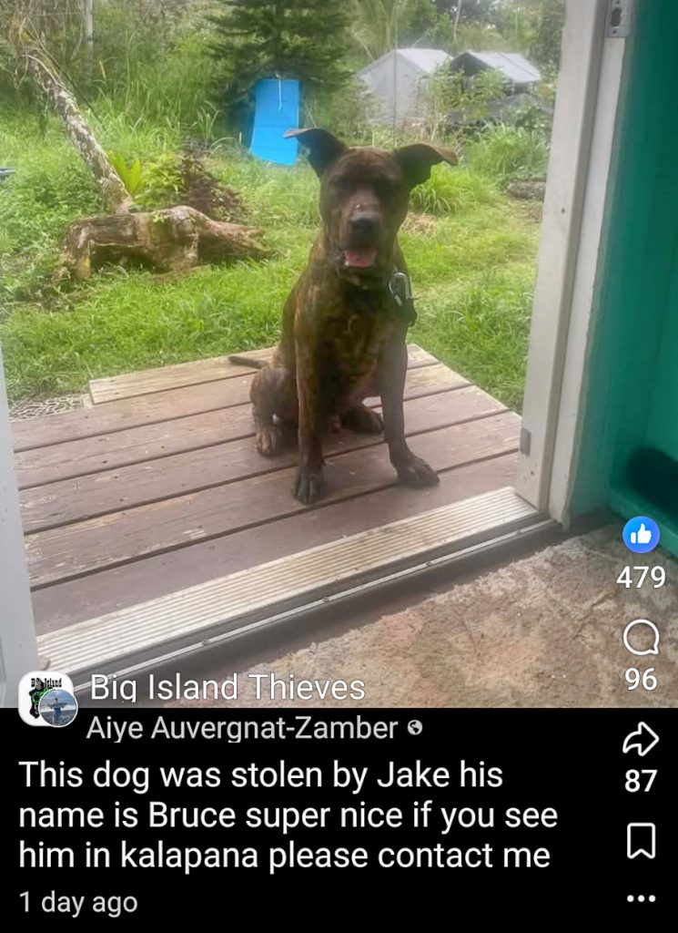 On Facebook, a person posts that their dog Bruce was stolen by Jake (Baker).
