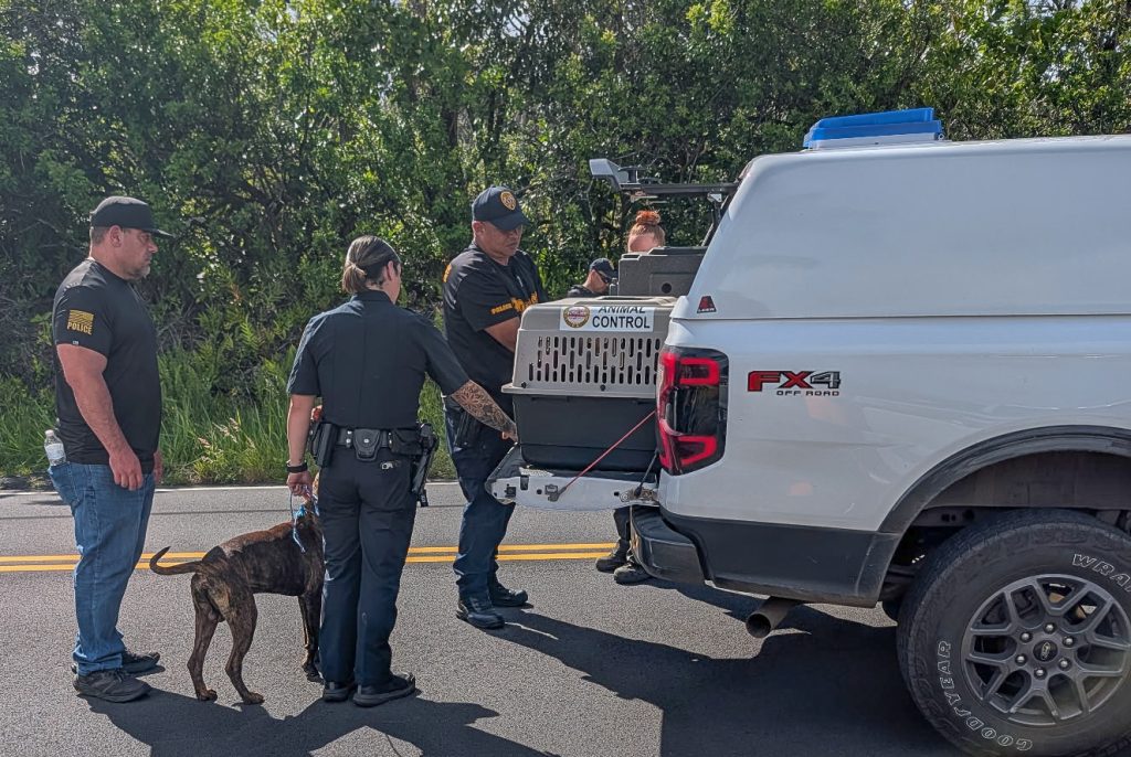 A dog named Bruce was with Jake Baker on May 28, 2026, when he was taken into custody by police. (Photo Credit: Richard Valdez)