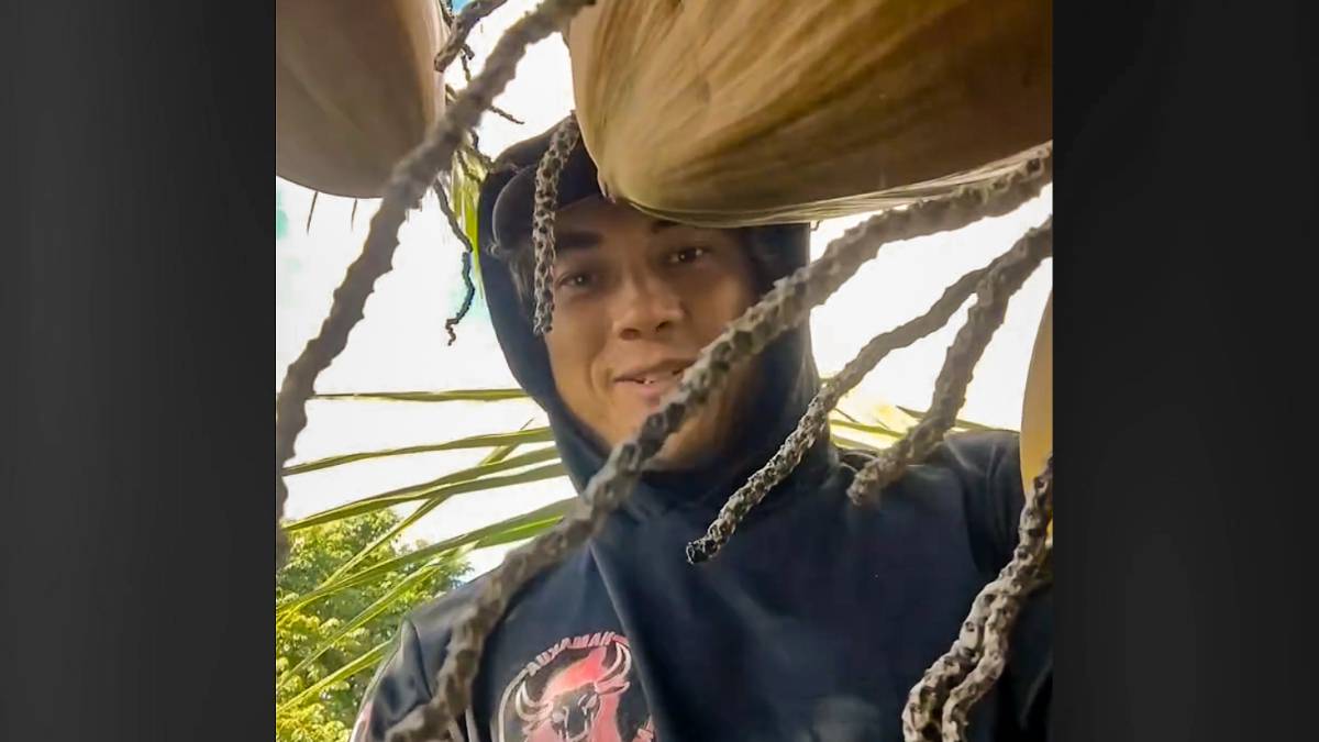 Jake Baker climbed coconut trees for money and loved to eat them. (Screenshot: Jake Baker TikTok)