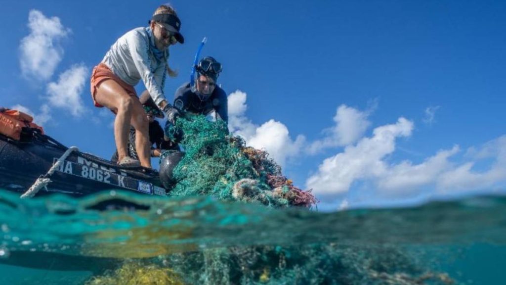 Record 10 Telly Awards claimed by Hawaiʻi Sea Grant’s ‘Voice of the Sea’ television series