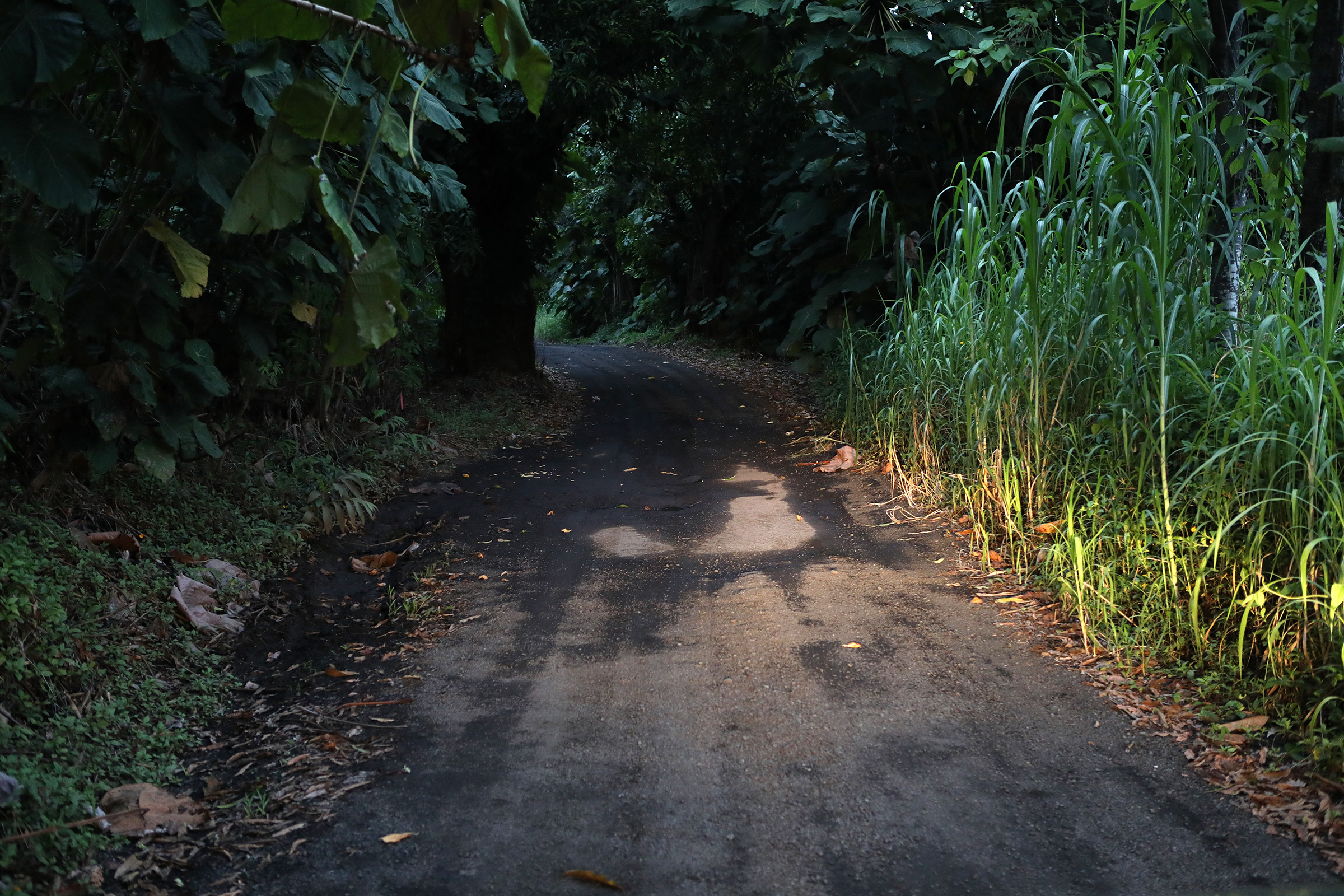 Hawaiʻi County postpones vote on using eminent domain to widen rural road in Puna