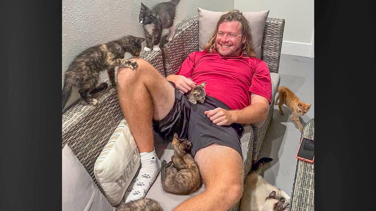 Business Monday: Cuddle with kittens who want a furever home at the Kona Kat Café