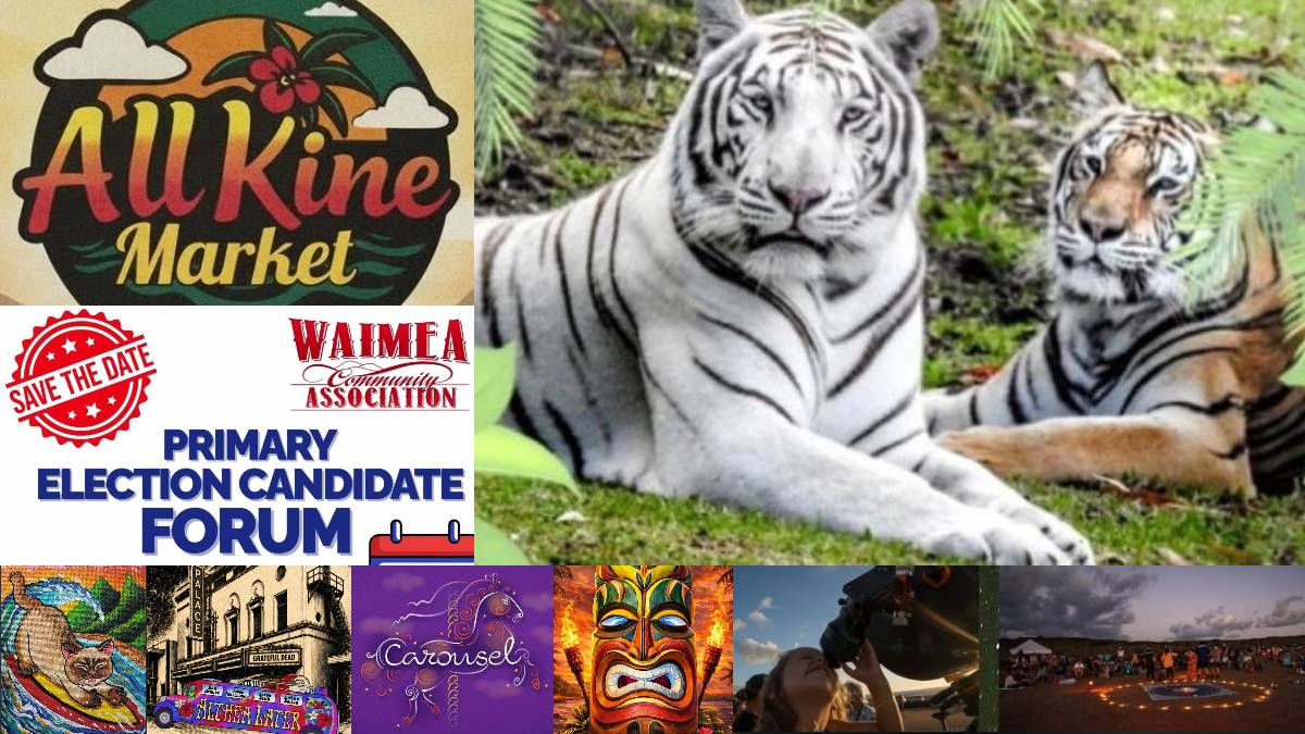Top 10 things to do on Big Island for July 10-16: All Kine Market, Tiger Fun Day, stargazing, candidate ‘speed dating’, plus more