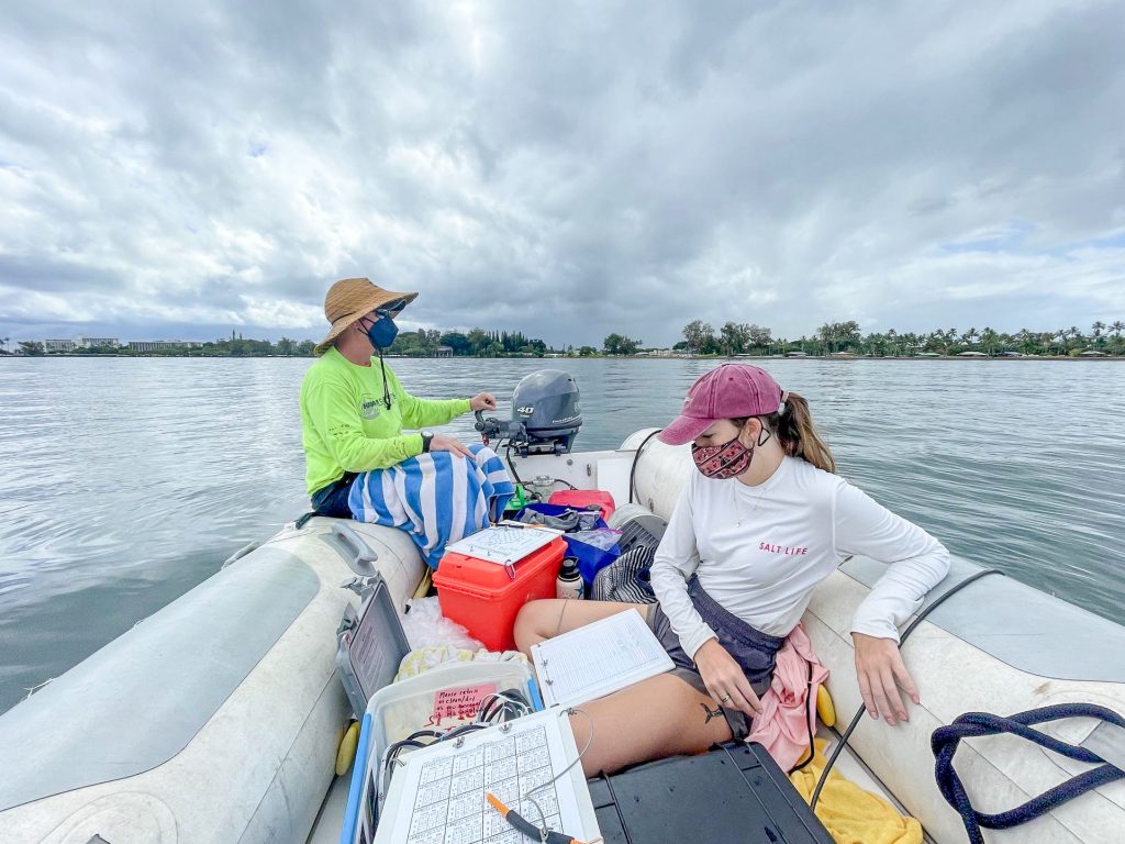 A team of UH Hilo marine researchers monitored movements of juvenile blacktip sharks from July 2022 to January 2024. (Photo Courtesy: UH Hilo)