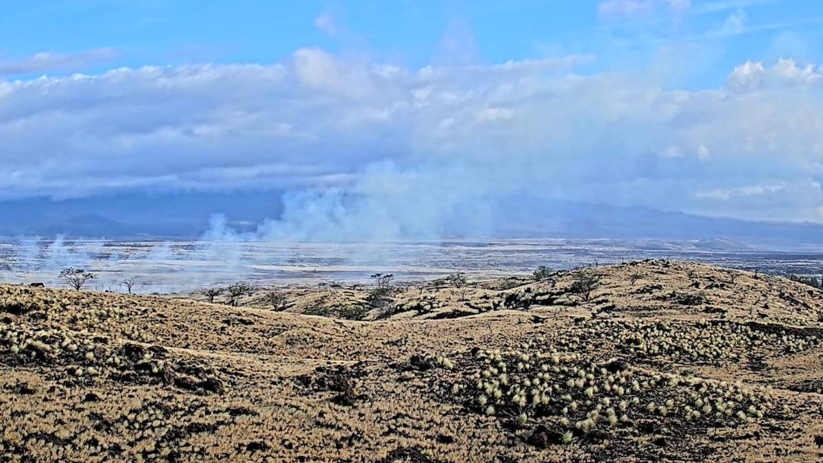Wildland fire south of Waikōloa and not a threat; firefighters continue battling blaze overnight