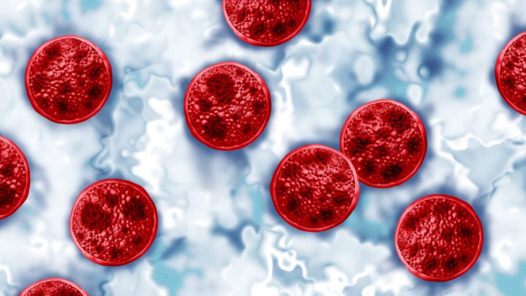 Fourth case of the intestinal illness cyclosporiasis confirmed in Hawaiʻi