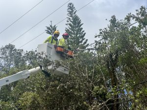 Frustration grows as 10,000 plus Hawaiian Electric customers reach a week without power, answers