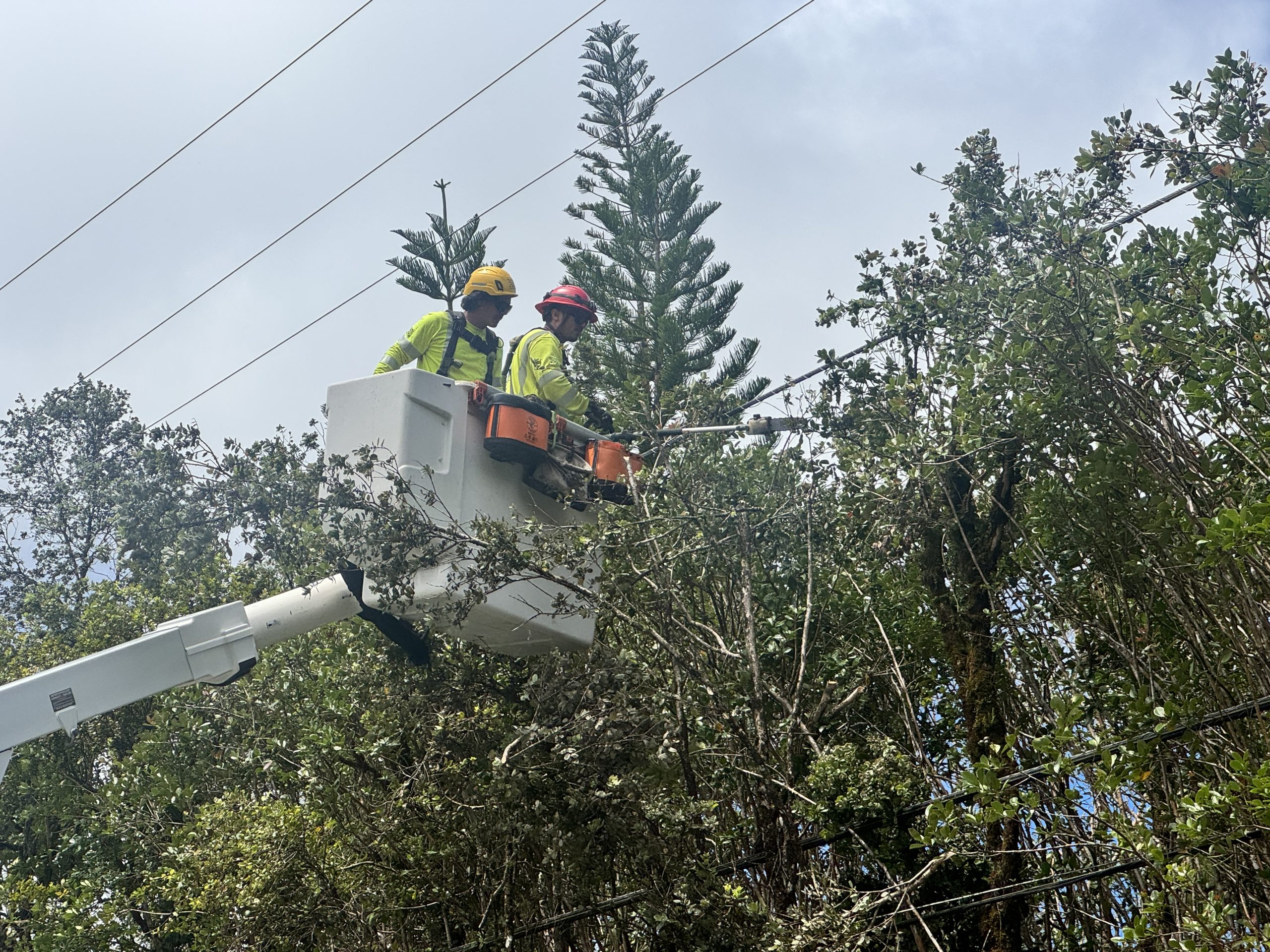 Frustration grows as 10,000 plus Hawaiian Electric customers reach a week without power, answers