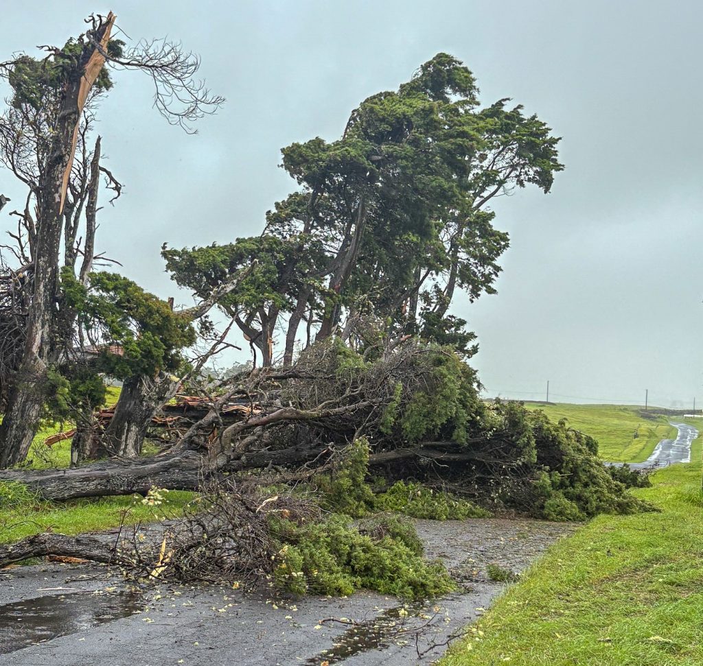 Parker ranch security patrols have observed flooding in areas that are historically prone to flooding, along with several downed trees on Parker Ranch property on Aug. 15, 2026. (Photo Courtesy: Parker Ranch)