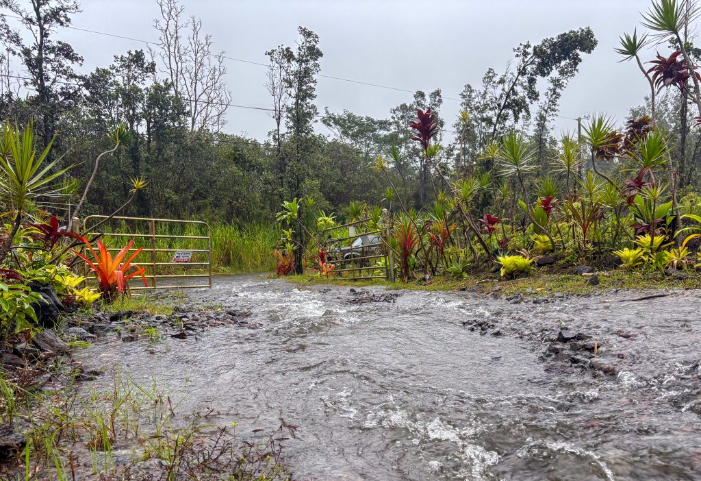 A driveway at a home in Puna was flooding from the outer bands of Hurricane Lala on the morning of Aug. 15, 2026. (Kelsey Walling/Big Island Now)