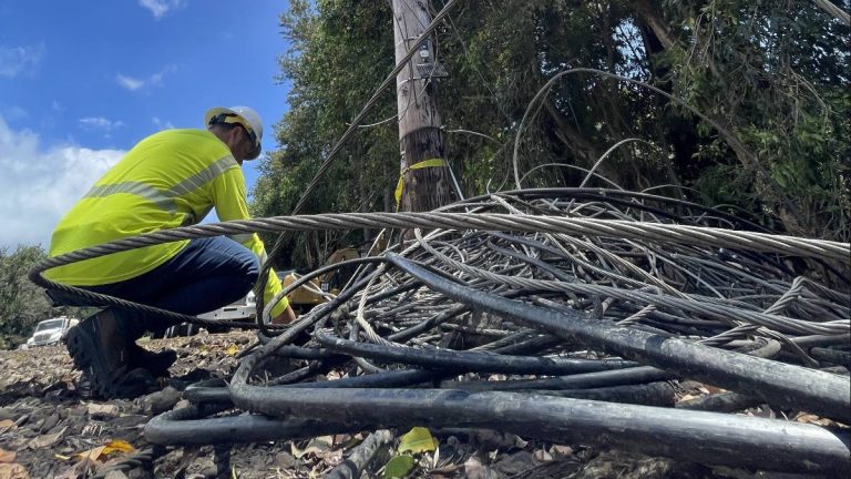 What you need to know about Hurricane Lala recovery: 400 Hawaiian Electric customers remain without power islandwide