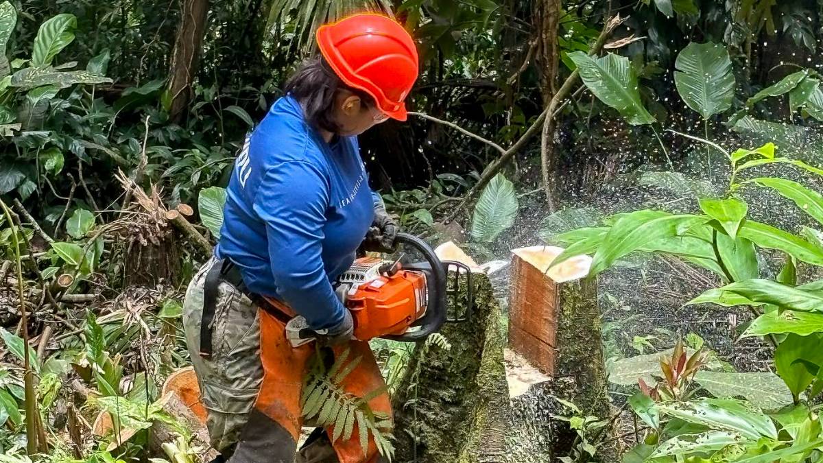 Trail crew positions will provide hands-on experience in sustainable trail construction and maintenance, along with training in chainsaw operation. (Courtesy photo: Kupu)