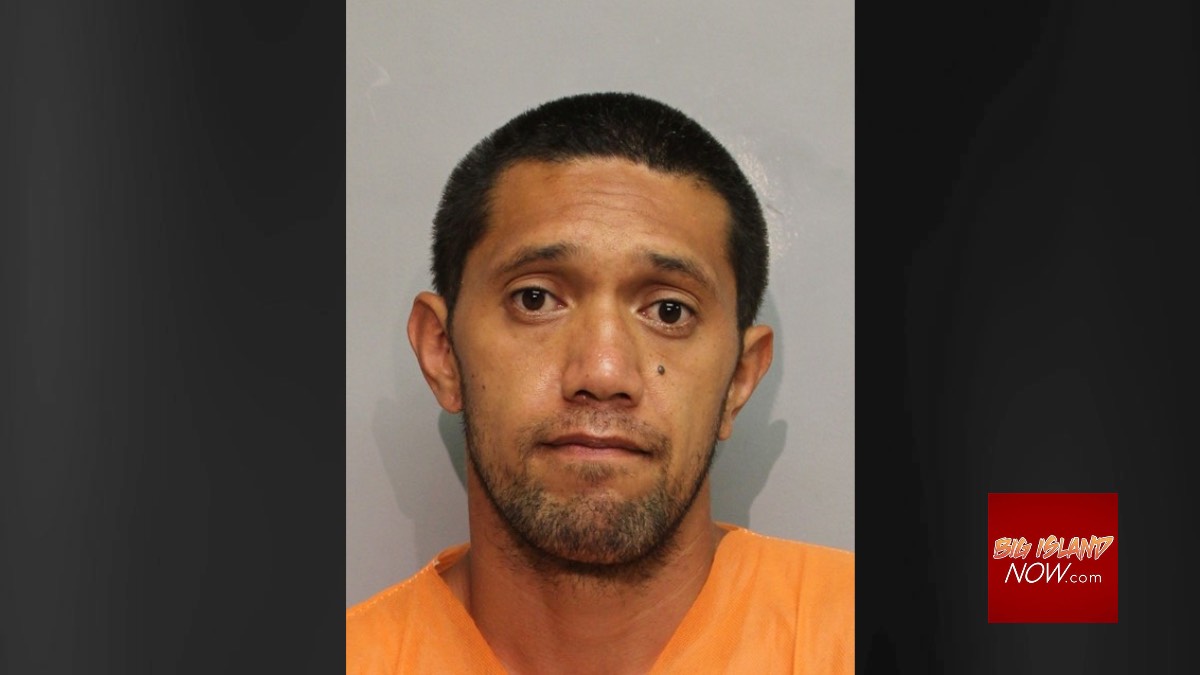 Hilo man in critical condition after Mountain View shooting; suspect arrested