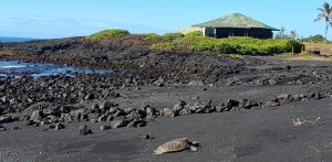 Punaluʻu Black Sand Beach Park reverts to private stewardship after failed lease negotiations with Hawaiʻi County