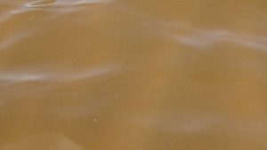 New brown water advisory in effect for Honuʻapo to Punaluʻu along Big Island’s southeast coastline