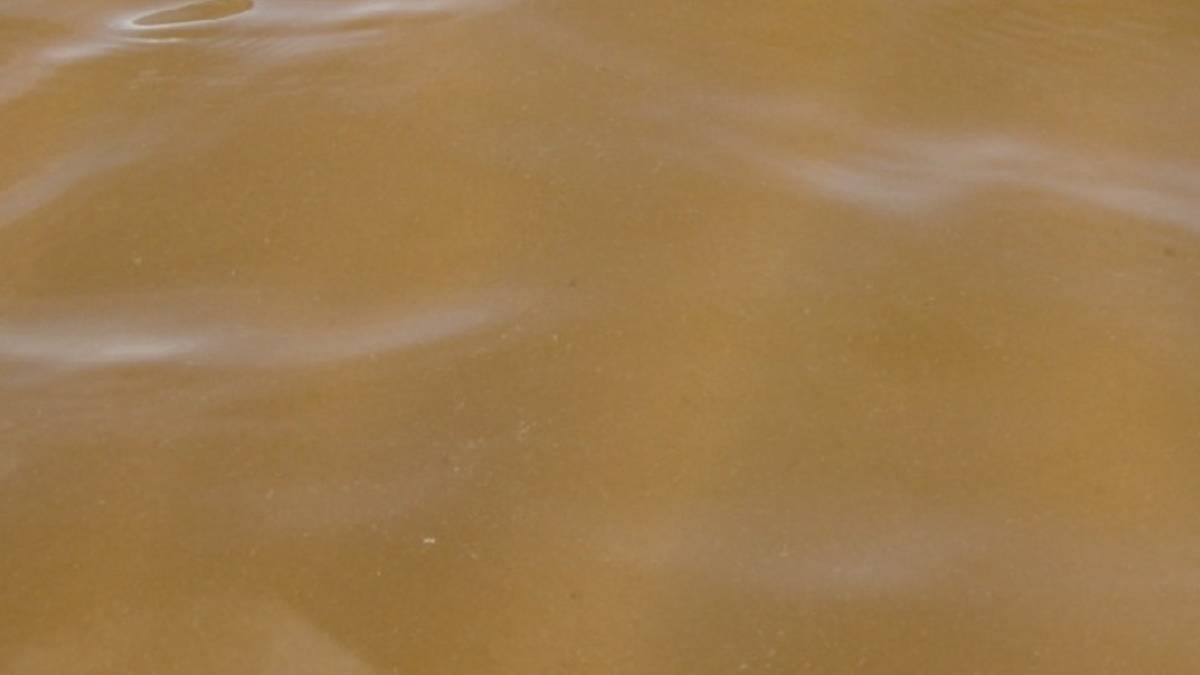 New brown water advisory in effect for Honuʻapo to Punaluʻu along Big Island’s southeast coastline