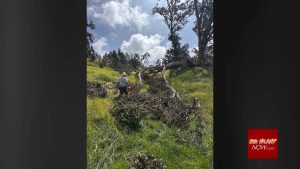 Hawaiʻi Volcanoes National Park reopens most areas after storm-related closures