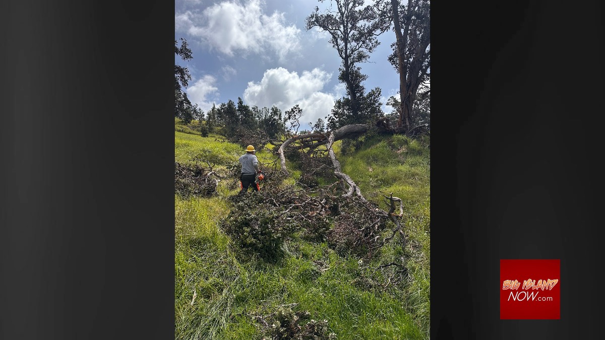 Hawaiʻi Volcanoes National Park reopens most areas after storm-related closures