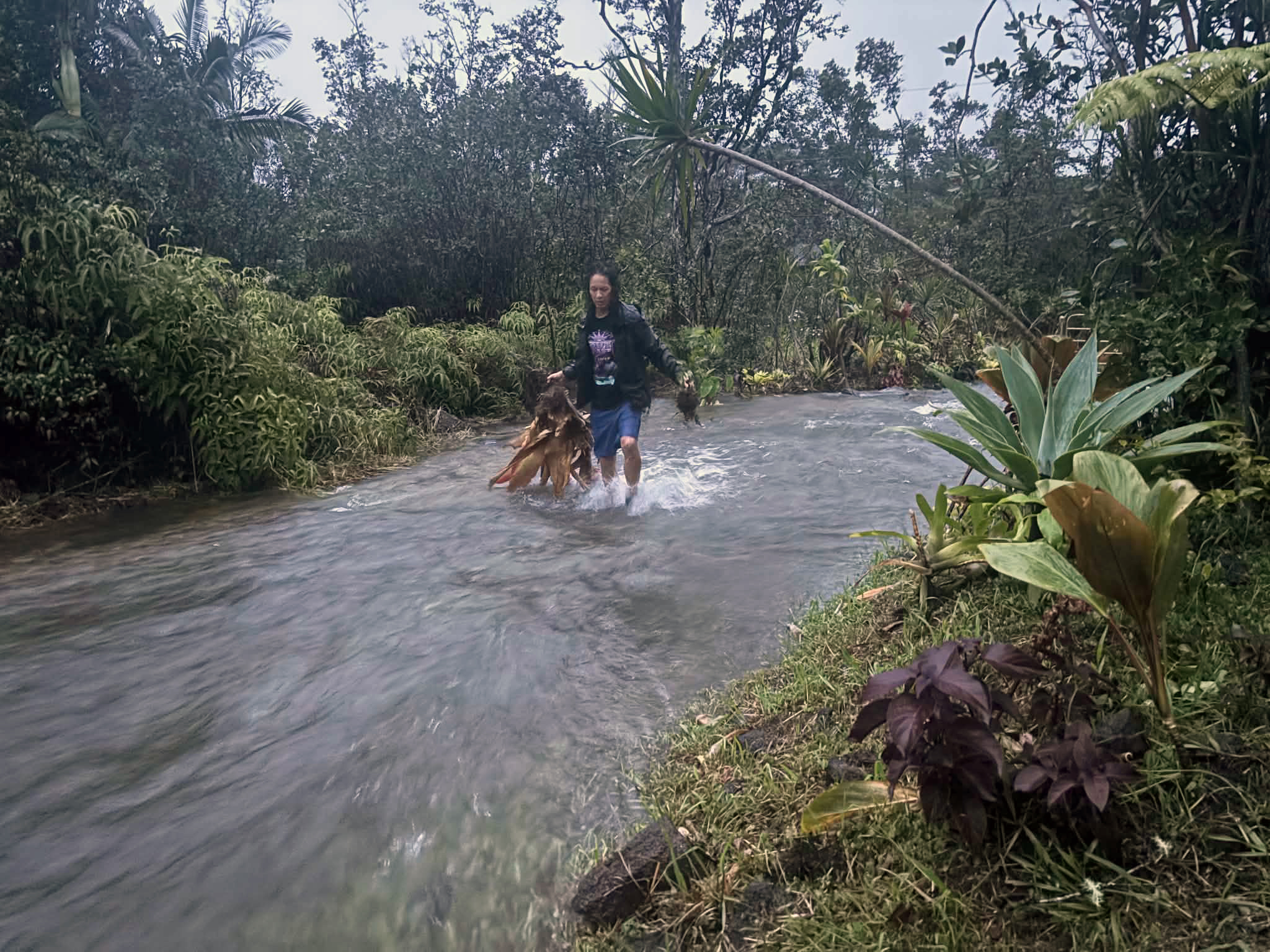 Lala now is hundreds of miles from Big Island, but the storm’s devastation will last a long time