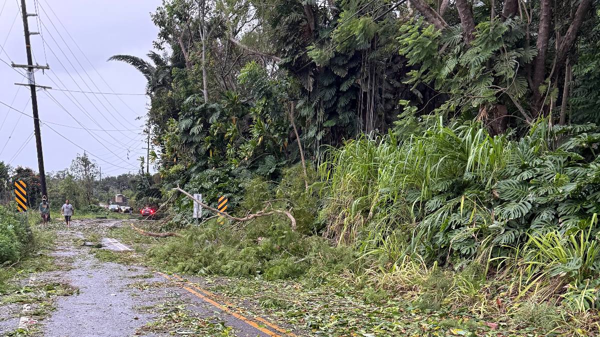 Residents encourged to file insurance claims as promptly as possible