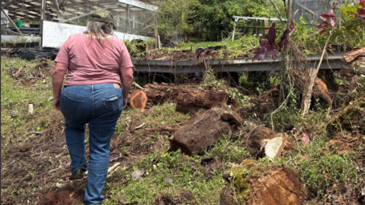Kaʻū farm among 162 awarded in first round of flood response grants