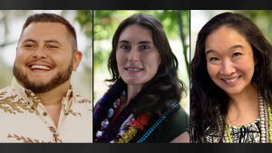 2 Big Island residents appointed to state panels
