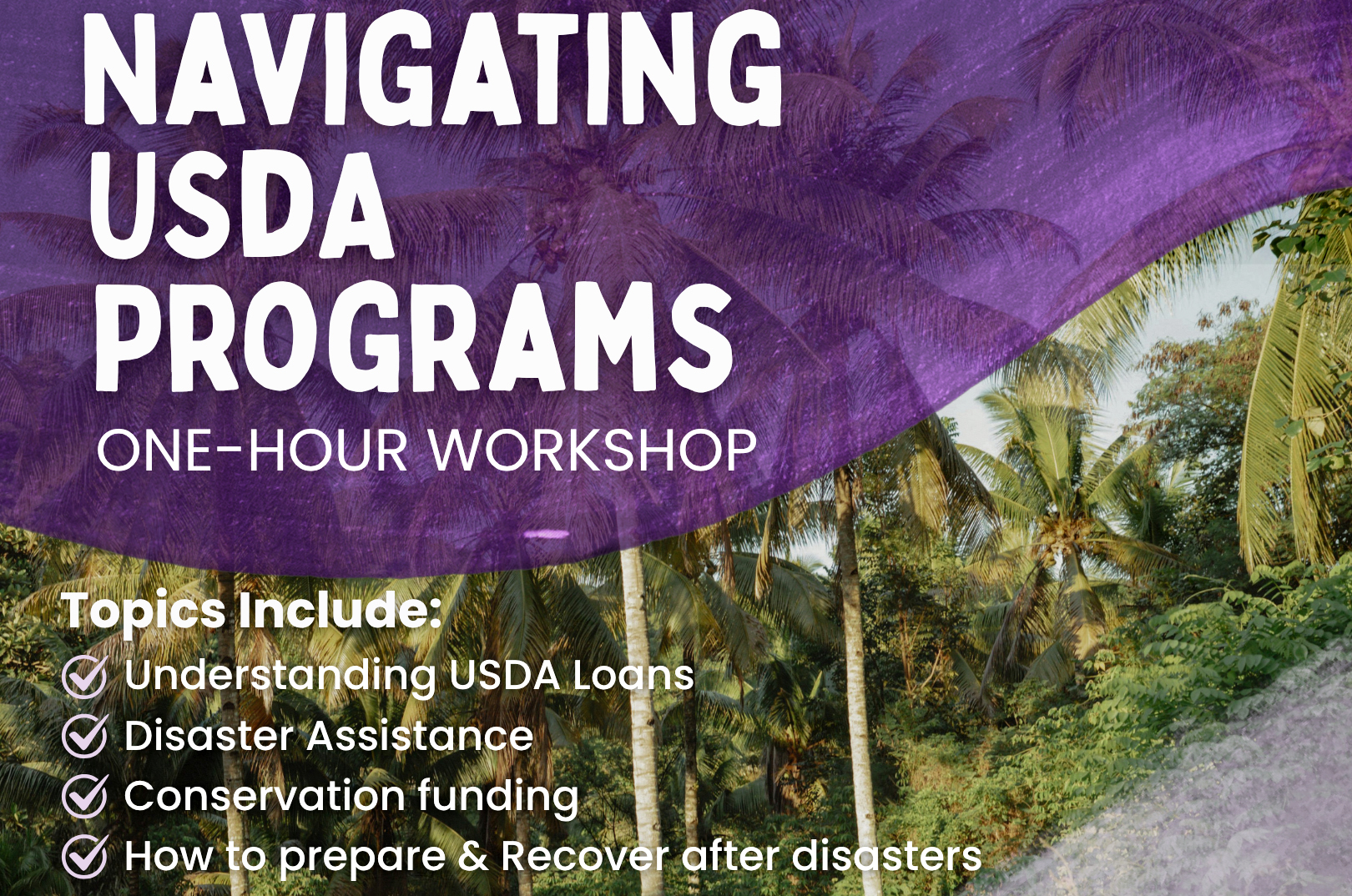 Workshop from Hoʻōla Farms helps farmers navigate funding options