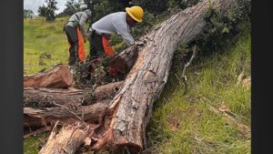 Kahuku Unit at Hawai‘i Volcanoes National Park to reopen following Lala damage