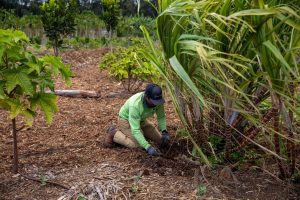 Two agricultural organizations donate money to farmers impacted by recent storms