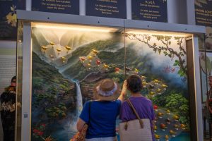 Bishop Museum announces the remaining schedule of exhibitions, programs and events for October