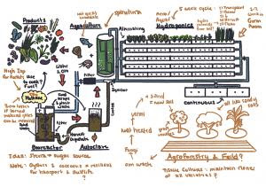 Their winning design was inspired by Polynesian voyagers and traditional Hawaiian farming. (Photo courtesy: University of Hawaiʻi at Hilo)