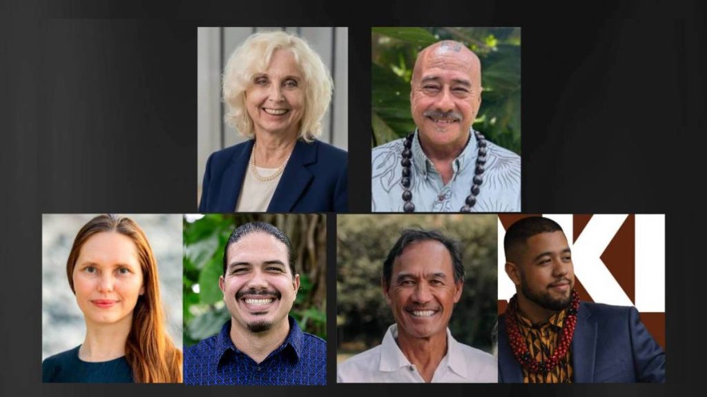 3 open seats on Hawai‘i County Council up for grabs in General Election on Nov. 3