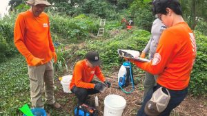 Hawaiʻi observes ‘Stop the Ant Month’ throughout October