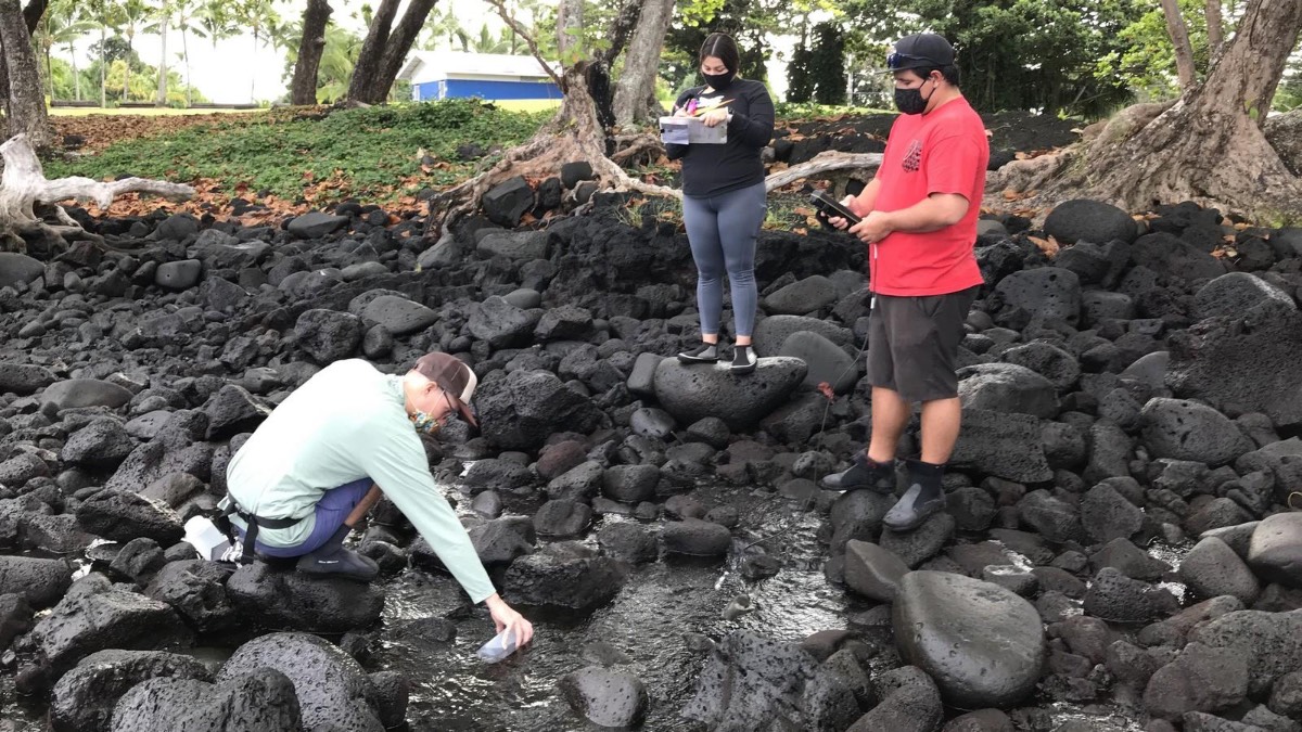 New UH Hilo study seeks to help communities target sewage pollution and protect coastal waters
